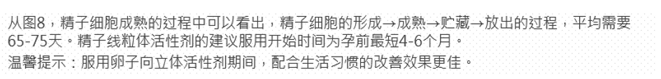 精子线粒体从何时开始服用？.PNG