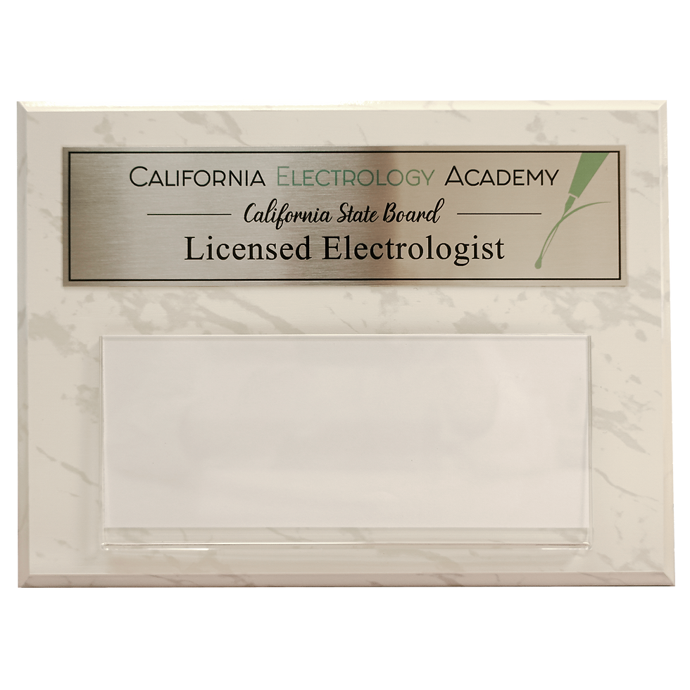 Alumni Plaque (Large)