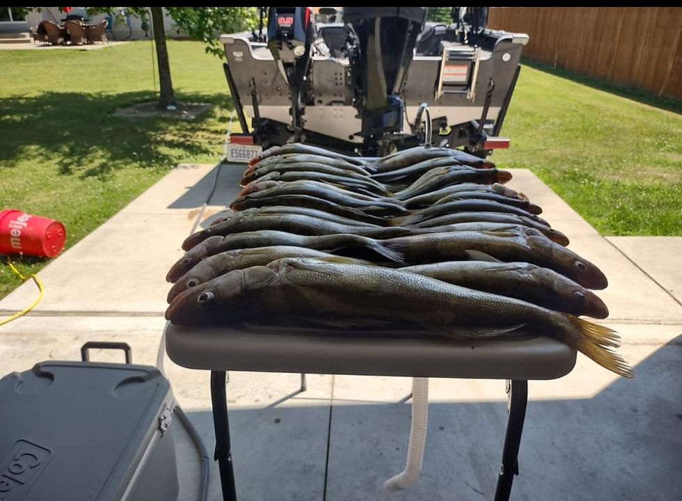 Screenshot_20240323-004349_edited