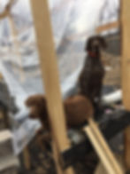 Greeenhouse2_Rhodes(2)