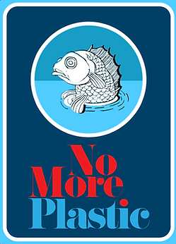 No More Plastic on Radiooooo.png