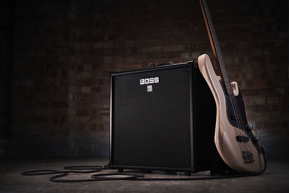 Thumbnail: BOSS KATANA-110 BASS AMPLIFIER - KTN110B