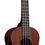 Thumbnail: KALA 4-STRING TENOR UKULELE - MKTE2105
