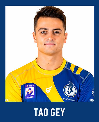 tao guey.jpg