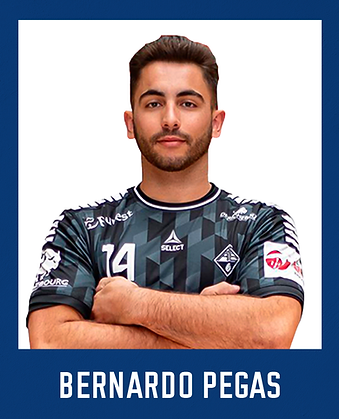 bernardo pegas.png