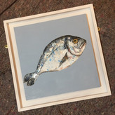 Giles Ward 'Single Fish'