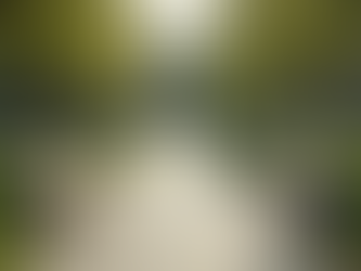 Promoting Mental Health at St. Edith HCF