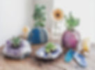 indoor house plants planted in crystals and minerals