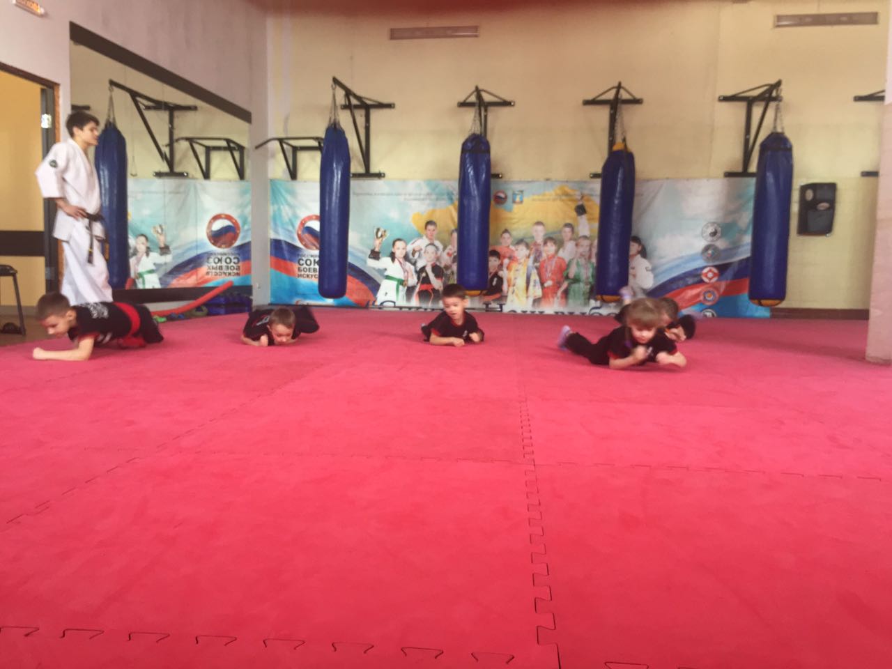 красные пояса_18.02.2017г._29.jpeg