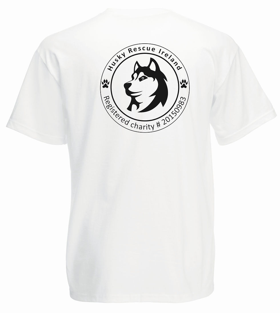 Thumbnail: HRI T-shirt - Adult