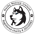 logo-white-and-transparent.png
