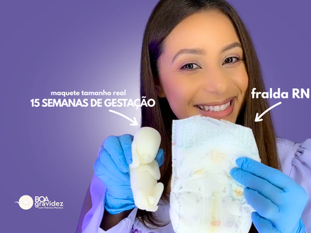 15 SEMANAS DE GRAVIDEZ | Gravidez Semama a Semana