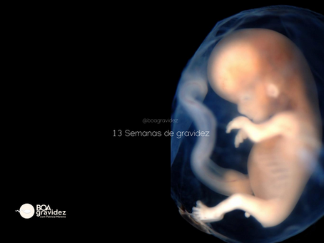 13 SEMANAS DE GRAVIDEZ | Gravidez Semana a Semana