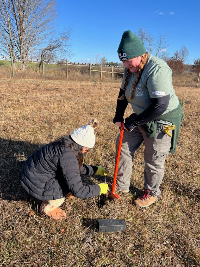 November 2025 Planting
