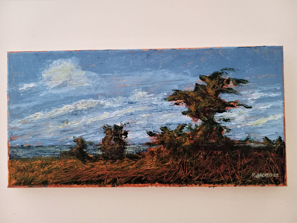 Miniatura: Sandy Hook Bay, October