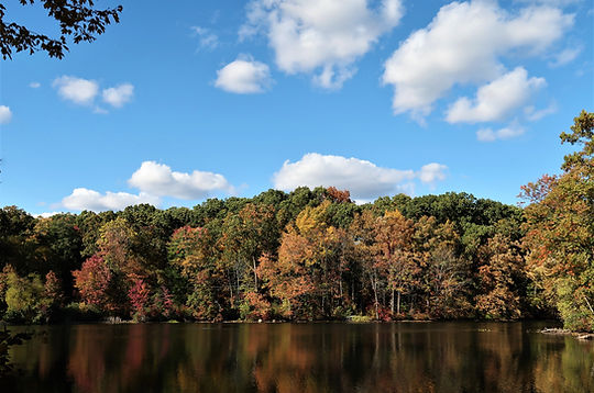 October Splendor-from The Art of Paul Jacks