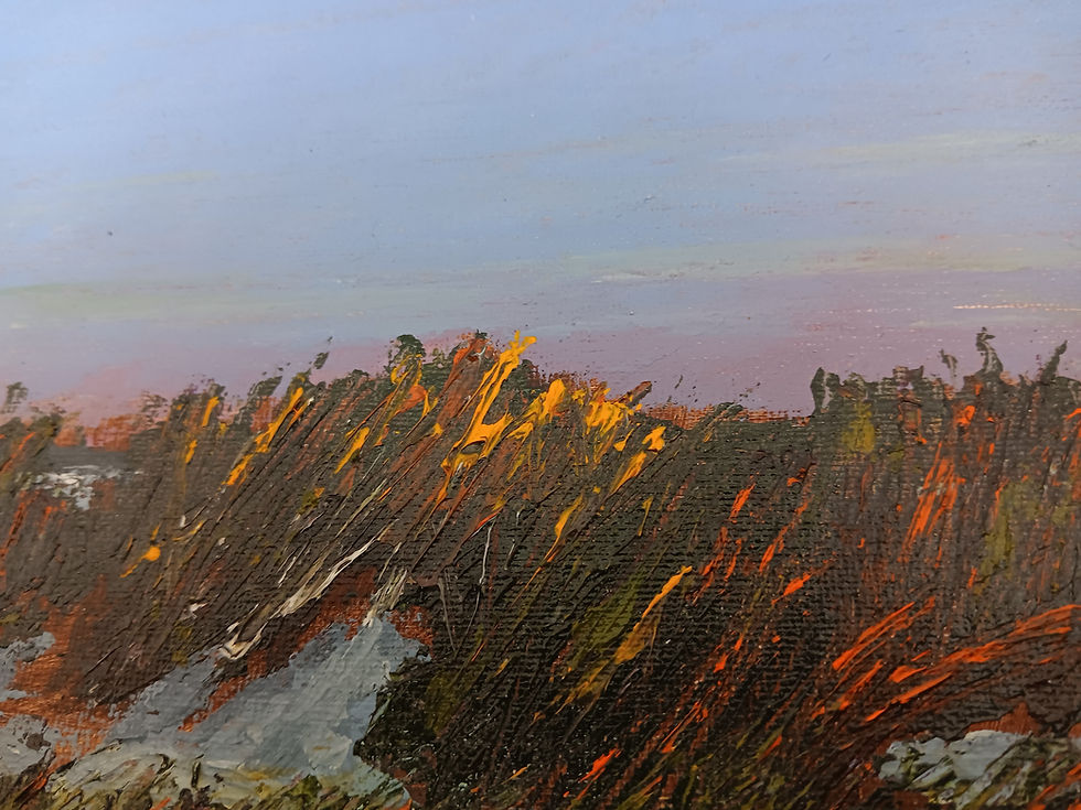 Miniatyrbilde: Dune Grass, Dawn