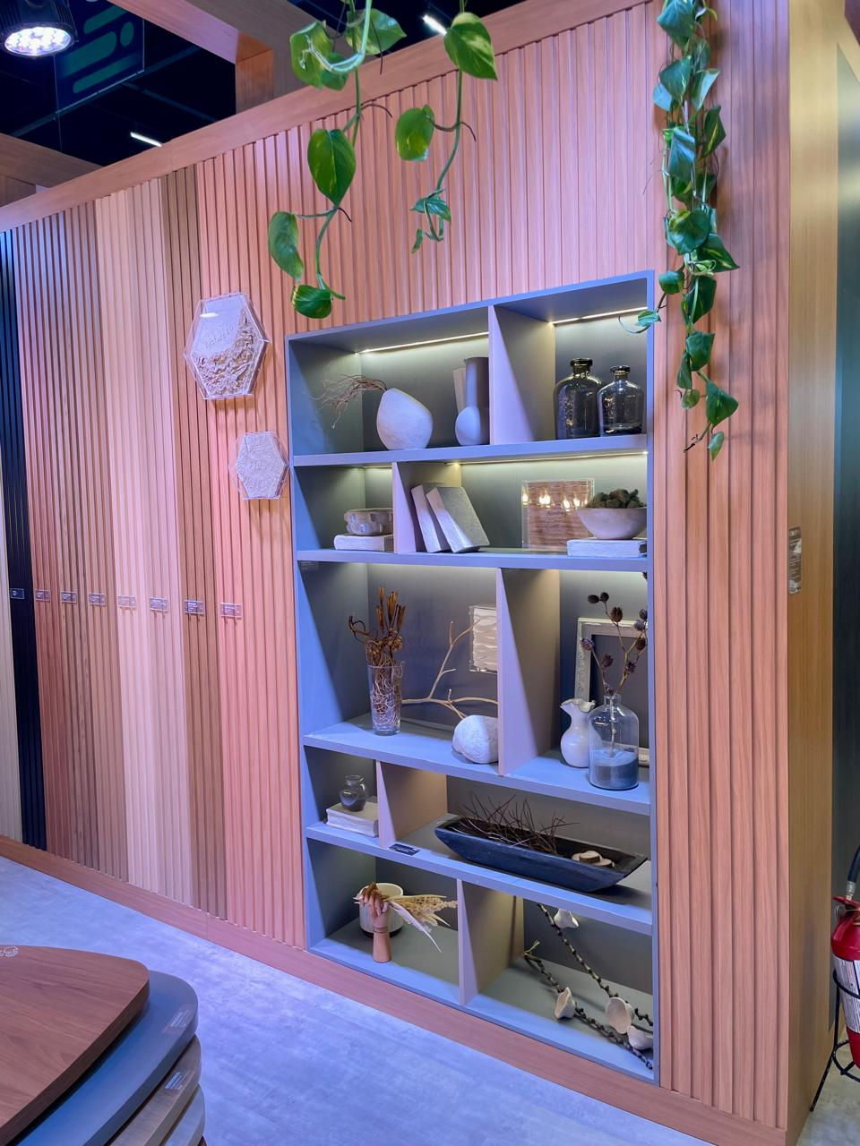 WhatsApp Image 2025-02-25 at 11.04.42