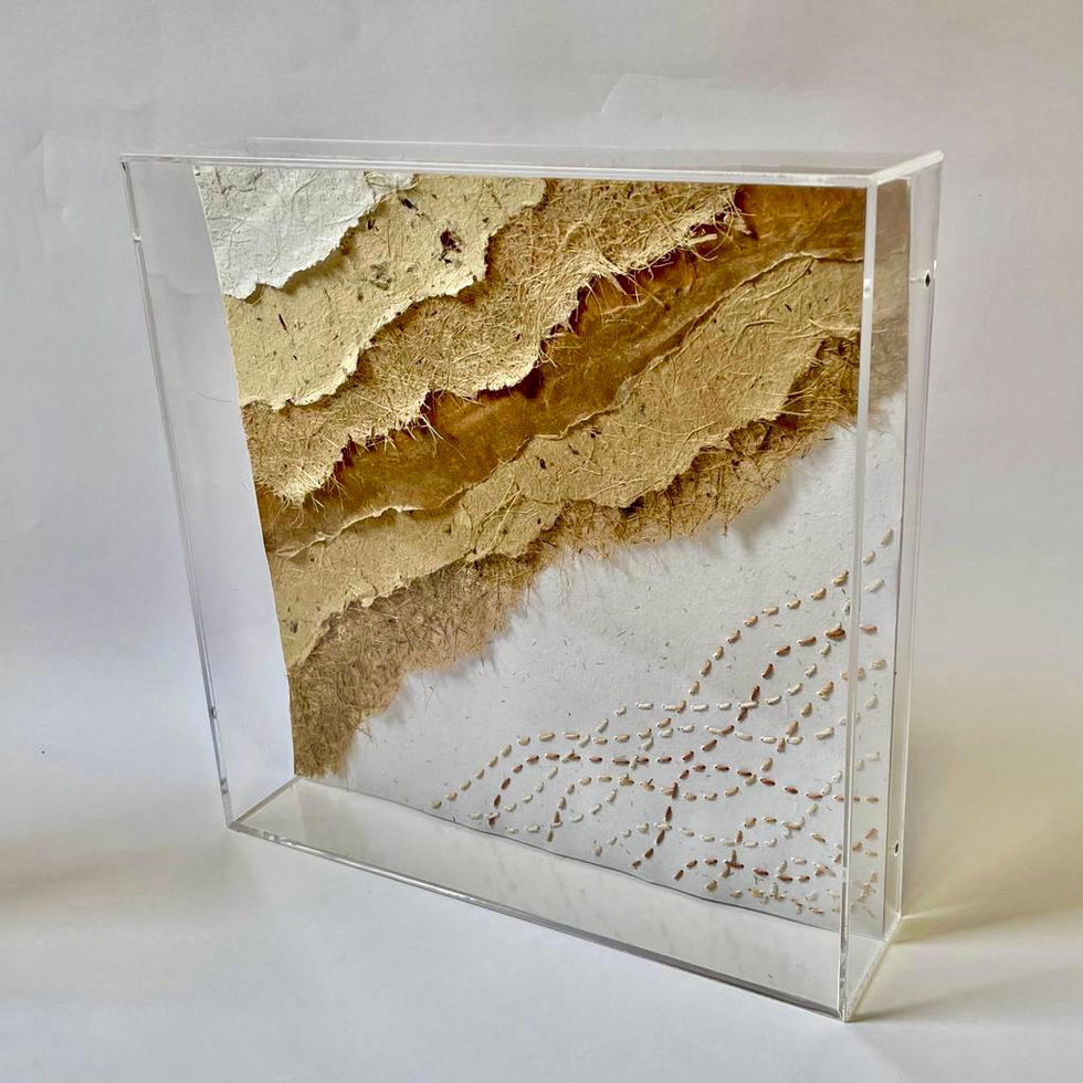 Imagem do WhatsApp de 2023-06-02 à(s) 18.10.41 10