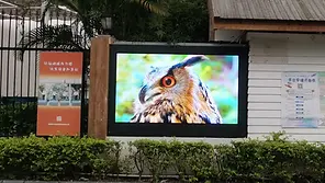 digital signage for outdoor use