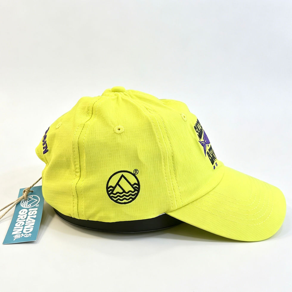 縮圖：香港設計 島人源刺繡棒球帽 鹹魚最高  SALTEDFISH AWESOME Dad Hat
