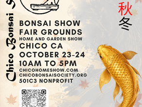 Fall Home And Garden Show 2026