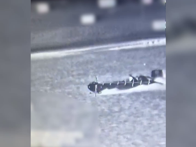 Las FDI atacaron una célula terrorista que intentaba infiltrarse en territorio israelí.