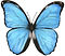 Image_20260225_0001_edited.jpg