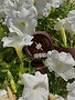 imag0003_edited.jpg
