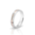 439-4-1D-V (D=1xd1,70).jpg