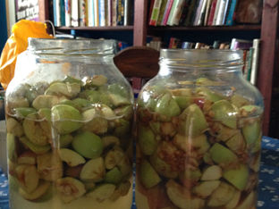 Medicine Making: Apple Cider Vinegar