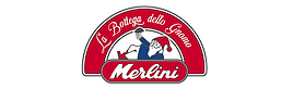 merlini_edited_edited_edited.png