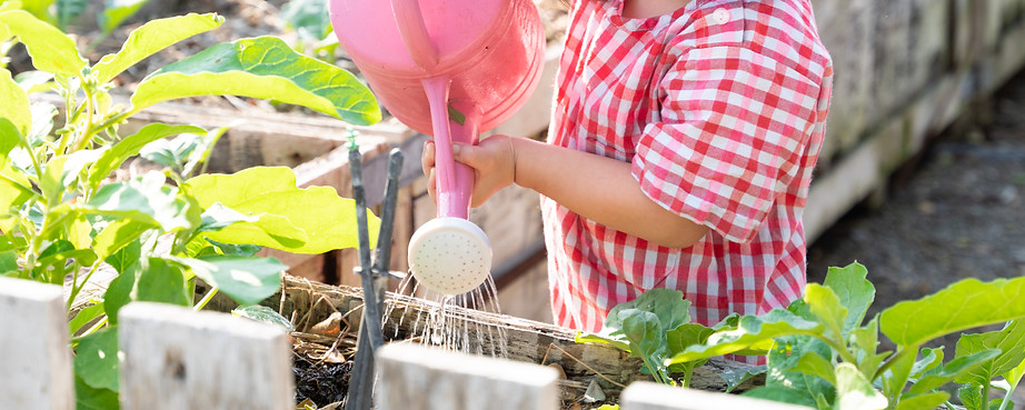 An adorable asian little girl watering plants in the garden. Montessori Practical Life ski