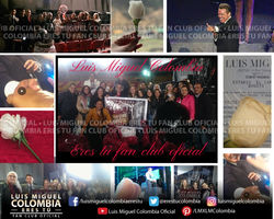 Luis Miguel Colombia Collage