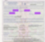 Endorsment italiano Master 200GT