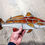 Thumbnail:  Stained Glass Hanging Redfish  - 16W x 6H