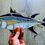 Thumbnail: Hanging Stained Glass Bluefin Tuna