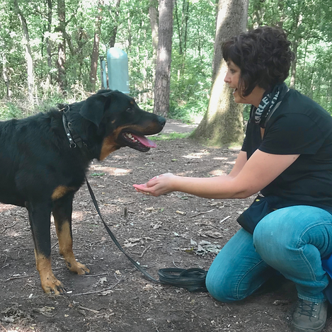 De Magie van Aroma Walking (1).png