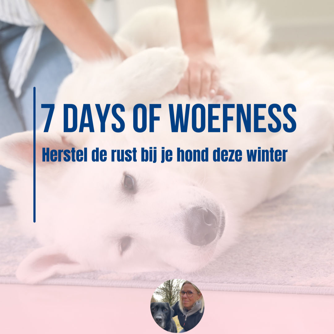 7 Days of Woefness