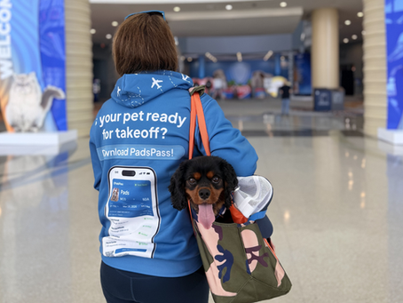 I Took Peru Everywhere With the Roverlund Out-and-About Tote Pro — Here's My Honest Founder Take