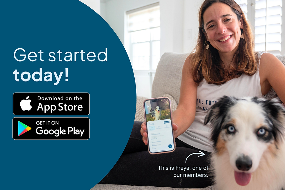 One of our users showing off their pet's free pet ID. Download in the App Store or Google Play.