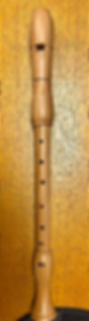 Recorder picture