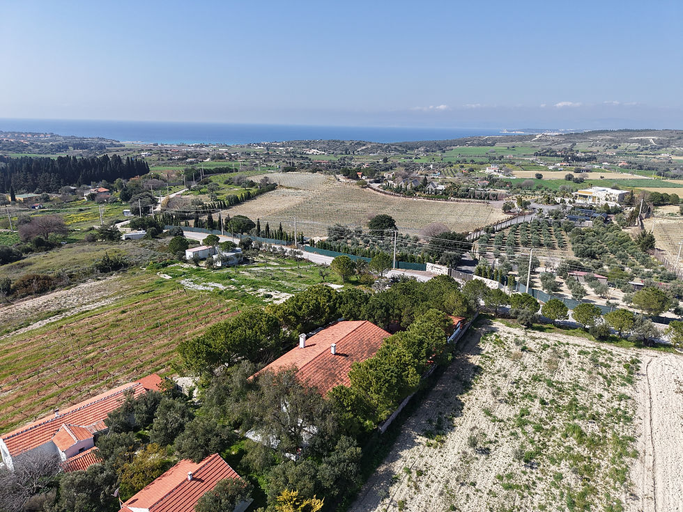 Puanı ve Marka Değeri Yüksek İşletme Noni's House