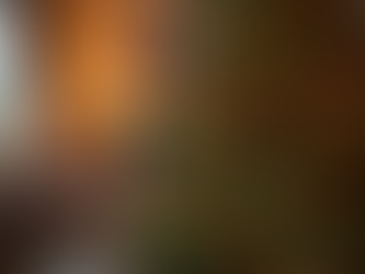 Creating the Ideal Christmas Tree: Tips for Perfect Decorations