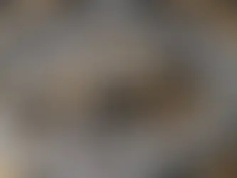 The Ultimate Guide to Finding the Timepiece of Your Dreams: A Professional's Insight