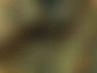 Uncovering the Truth: Can I Say Camouflaged?