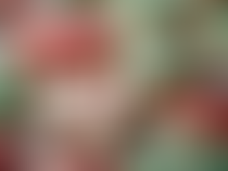 Chic and Simple Christmas Cookies Perfect for the Fashionista