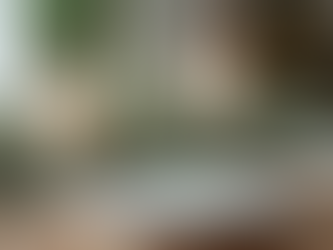 Minimalist Christmas Table Decor Ideas for a Festive Yet Simple Setting