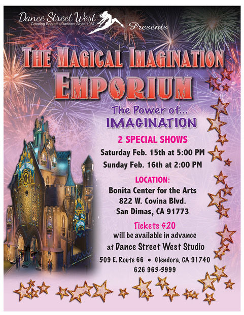DSW_MAGICAL_SHOW_FLYER_Feb_2020jpeg.jpeg