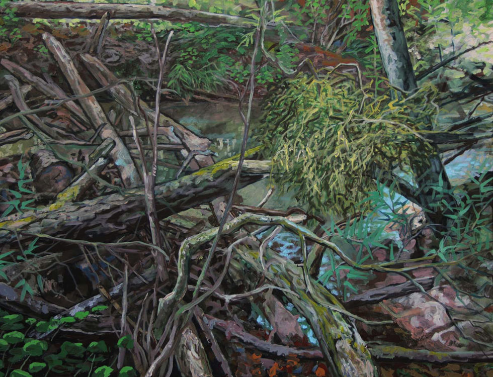 Touffe de gui à l'embouchure du Chandon, exposition Les Rives du lac de Morat au Musée de Morat en 2013